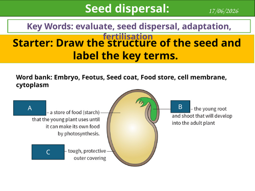 Seed dispersal KS3