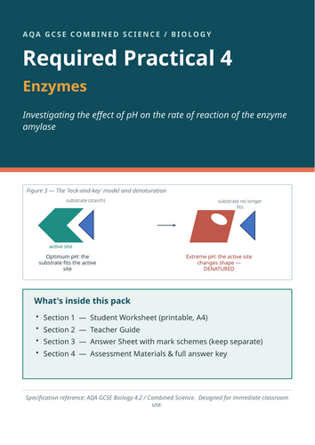 AQA KS4 Required Practical 4 - enzymes (organisation)