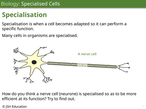 pptx, 277.03 KB