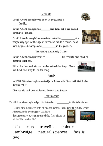docx, 176.91 KB