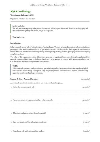 pdf, 1.24 MB