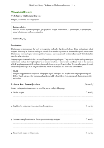 pdf, 71.49 KB