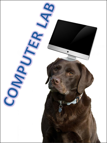 pdf, 302.23 KB