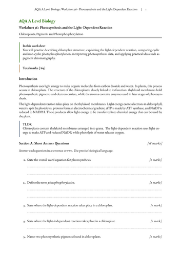 pdf, 1.33 MB