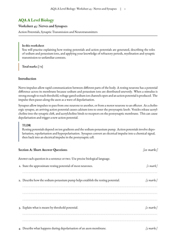 pdf, 922.07 KB