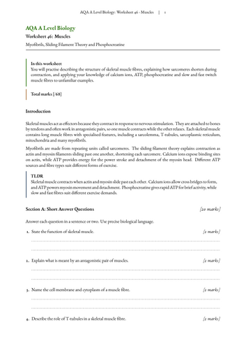 pdf, 2.71 MB