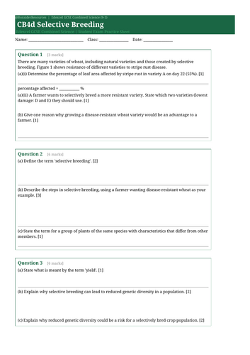 docx, 9.91 KB