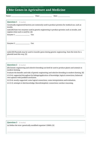 docx, 10.02 KB