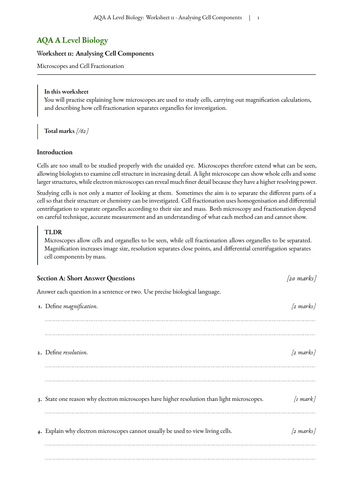 pdf, 1.01 MB