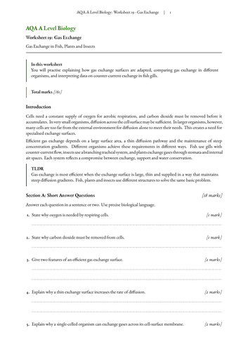 pdf, 1.39 MB