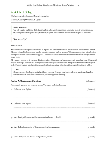 pdf, 72.91 KB