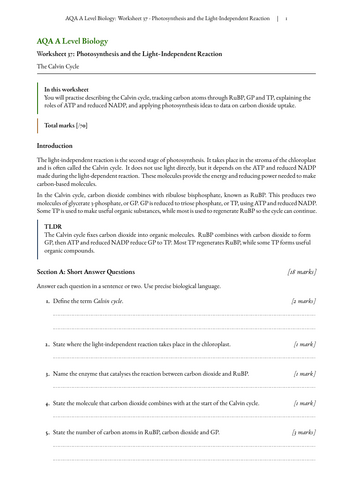 pdf, 83.41 KB