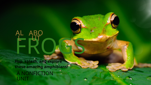 All About Frogs Comprehension Worksheets | KS1 Reading