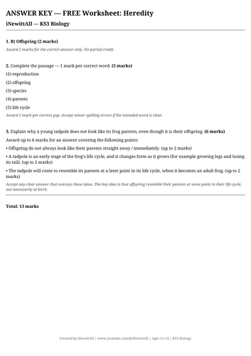 docx, 8.41 KB