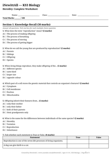 docx, 13.4 KB