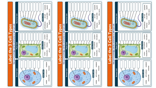 pptx, 1.79 MB