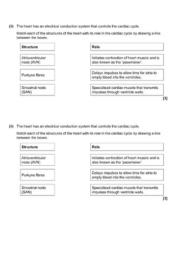 docx, 81.39 KB