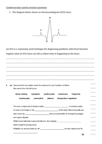 docx, 129.92 KB