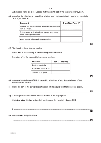 pdf, 131.5 KB