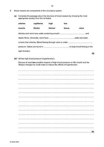 pdf, 109.26 KB