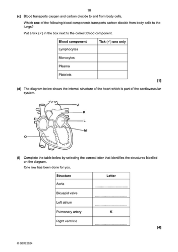 pdf, 102.29 KB