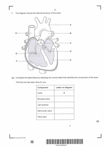 pdf, 260.73 KB