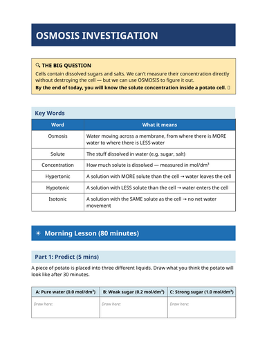 docx, 25.62 KB