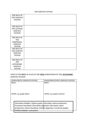 docx, 13.55 KB