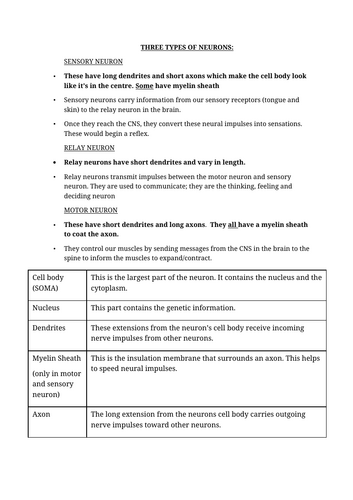 docx, 16.06 KB