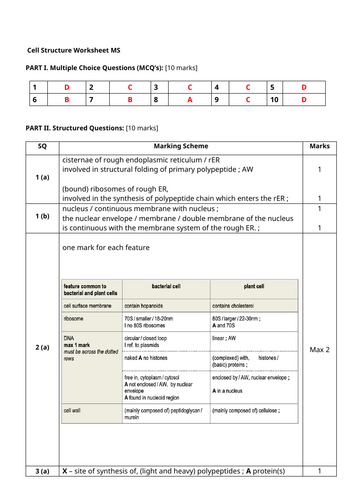 docx, 133.97 KB