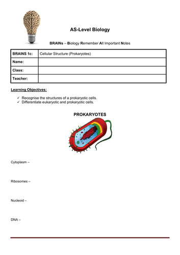 pdf, 171.59 KB