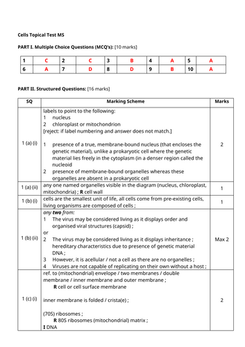 docx, 86.15 KB