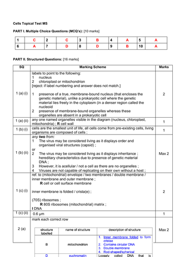 pdf, 176.34 KB