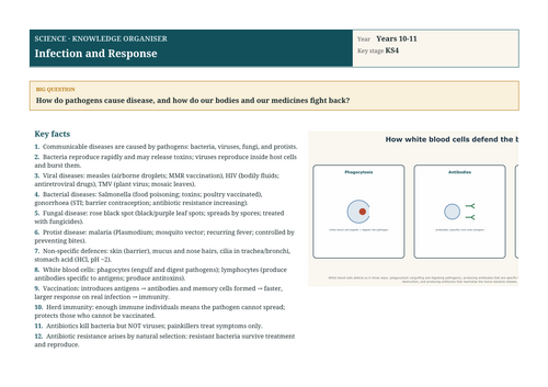 docx, 215.18 KB