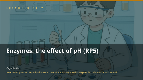 pptx, 508.83 KB