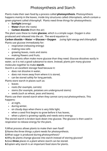docx, 24.39 KB