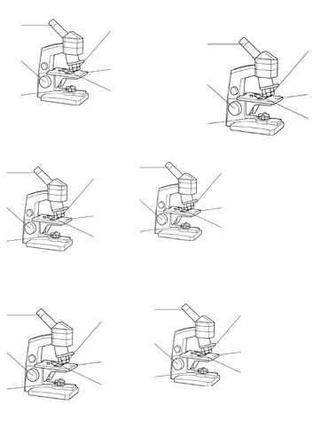 doc, 76.5 KB