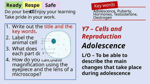 Reproduction - Key Stage 3 fully resourced teaching unit