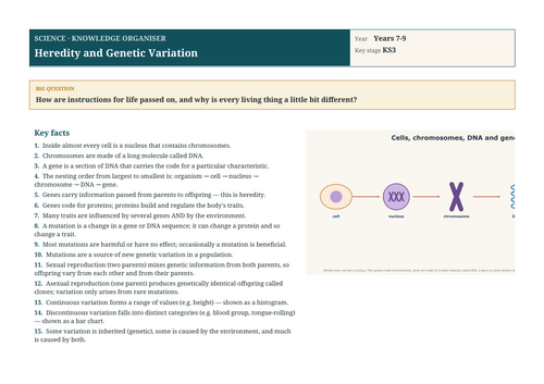 docx, 239.29 KB