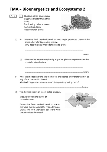 docx, 133.55 KB
