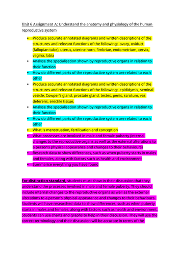 docx, 15.19 KB