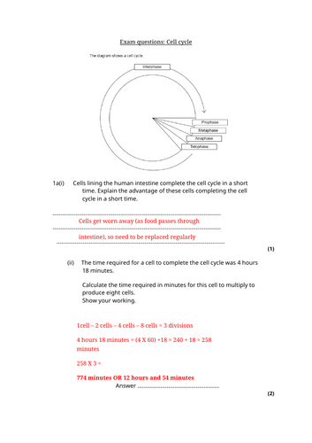 docx, 60.74 KB