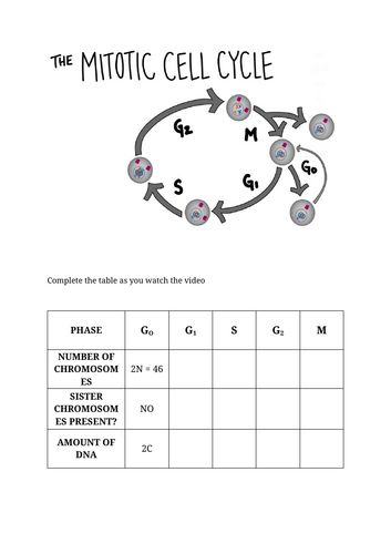 docx, 216.86 KB