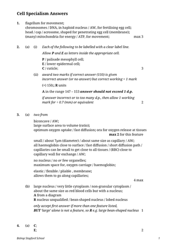 docx, 16.83 KB