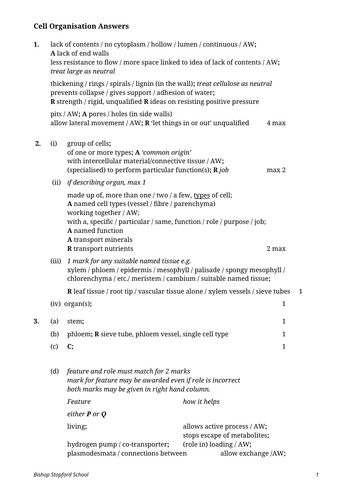 docx, 25.39 KB
