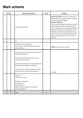 docx, 18.13 KB