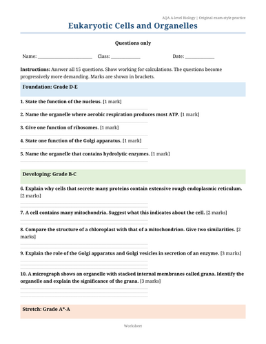 docx, 38.5 KB