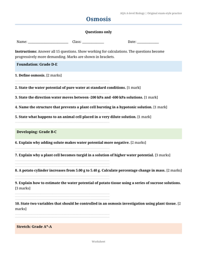 docx, 38.44 KB