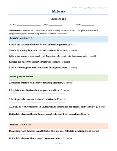 docx, 38.31 KB