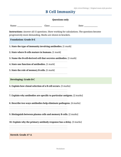 docx, 38.27 KB